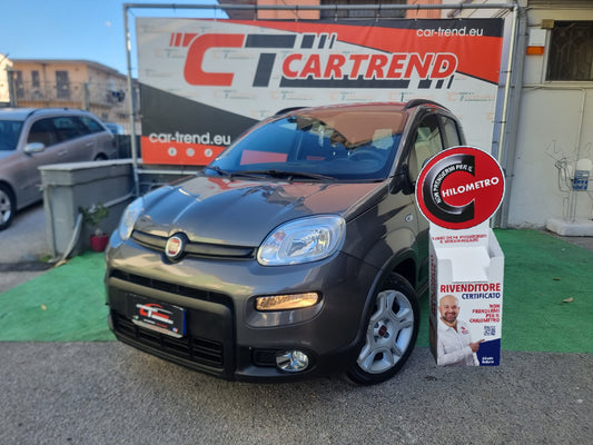Fiat Panda 1.0 FireFly S&S Hybrid